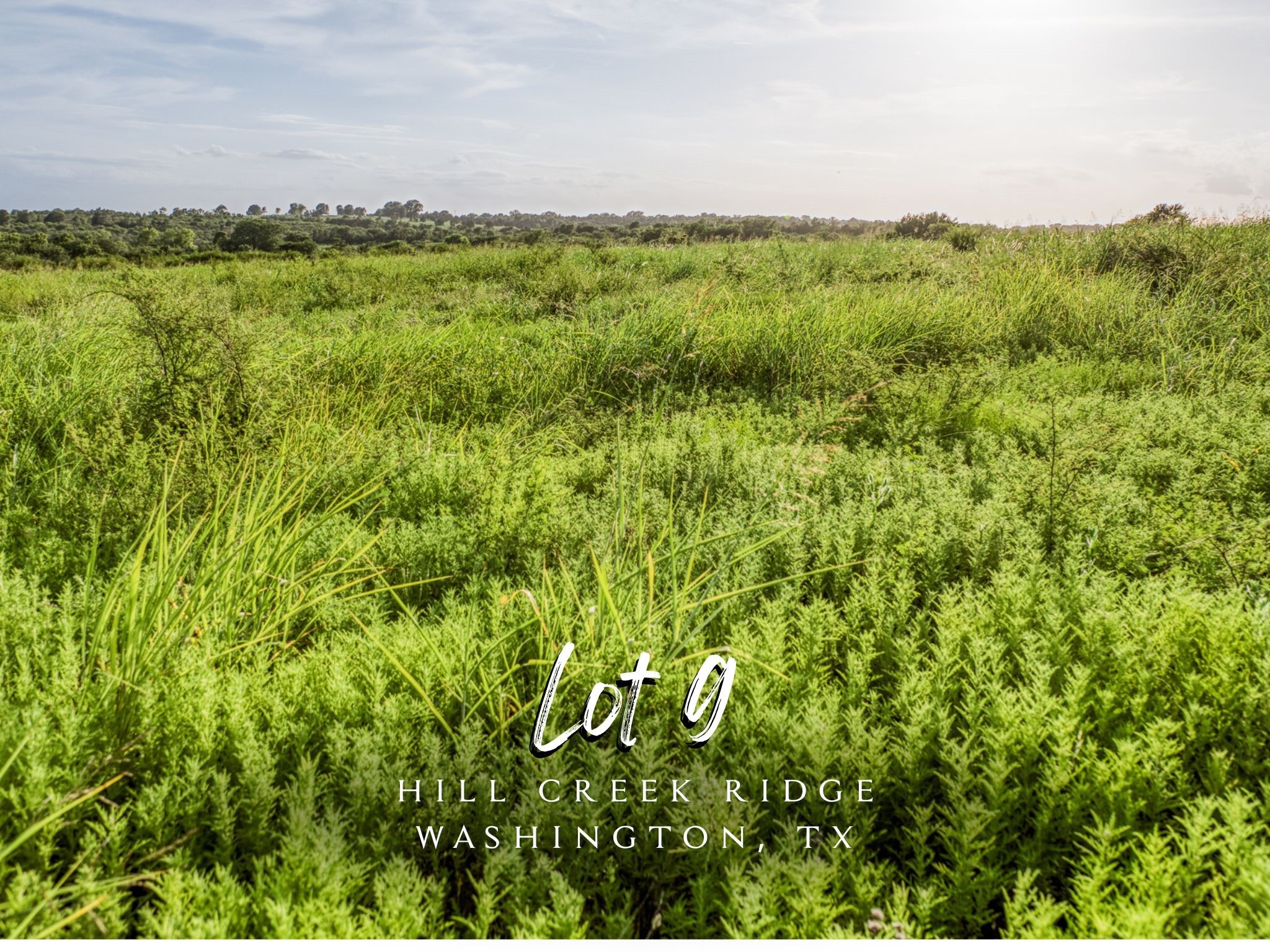 Lot 9 Hargrove Lane Washington TX 77880