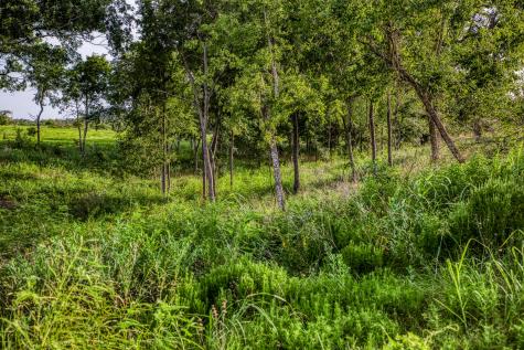 Lot 9 Hargrove Lane Washington TX 77880
