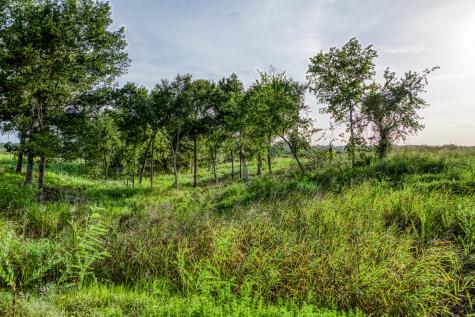 Lot 9 Hargrove Lane Washington TX 77880