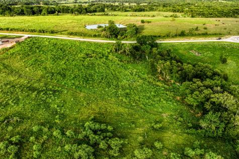 Lot 9 Hargrove Lane Washington TX 77880