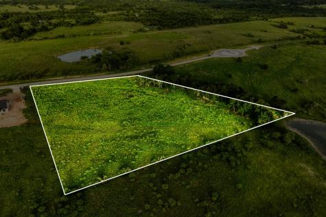 Lot 9 Hargrove Lane Washington TX 77880