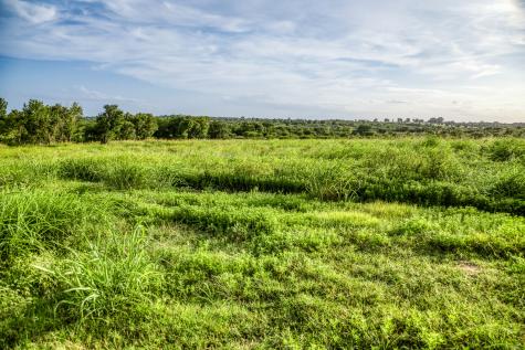 Lot 9 Hargrove Lane Washington TX 77880