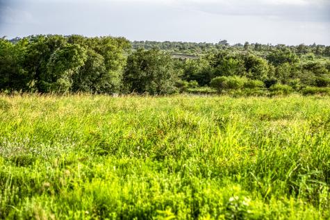 Lot 9 Hargrove Lane Washington TX 77880