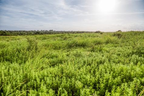Lot 9 Hargrove Lane Washington TX 77880