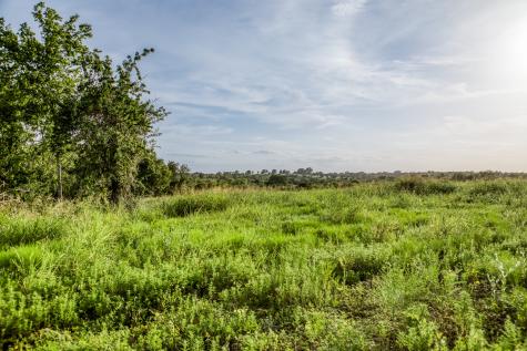 Lot 9 Hargrove Lane Washington TX 77880