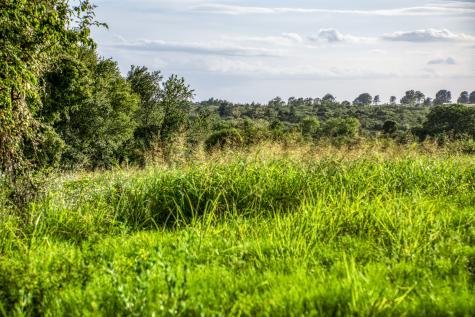 Lot 9 Hargrove Lane Washington TX 77880