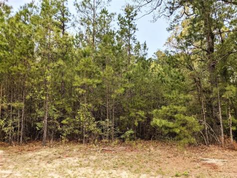 000 Tony Lane Huntsville TX 77320
