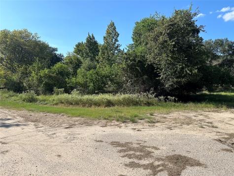 0 Trinity Trail 35 Lot 12 Trinity TX 75862