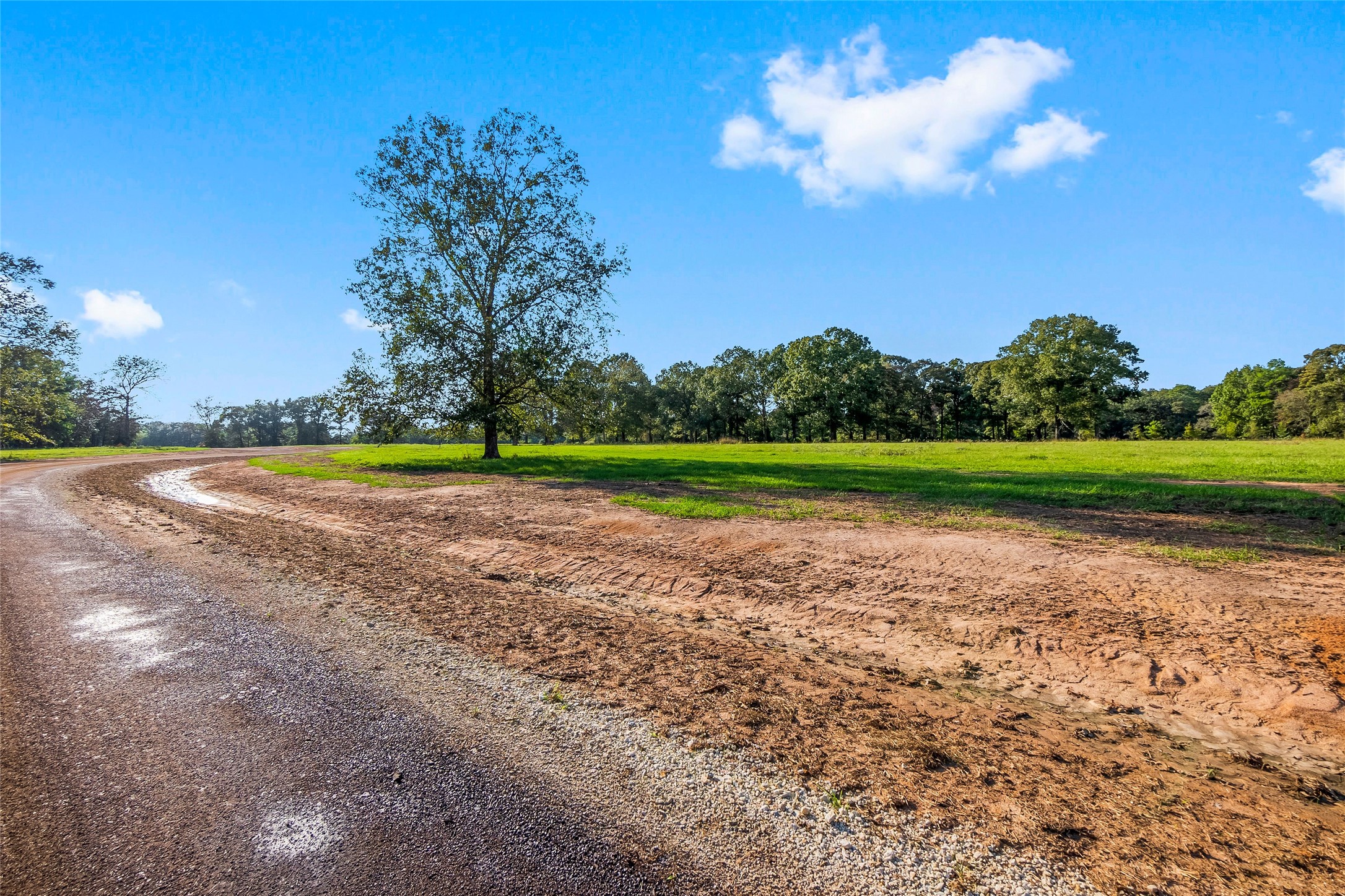 6069 Alans Memorial Lane New Waverly TX 77358