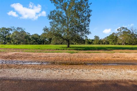 6069 Alans Memorial Lane New Waverly TX 77358
