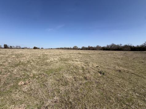 Tbd Tract #12 Fcr 445 Fairfield TX 75840