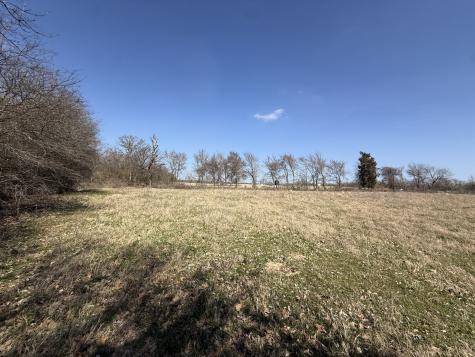 Tbd Tract #12 Fcr 445 Fairfield TX 75840