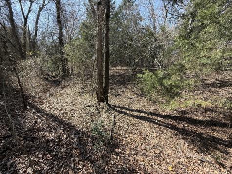 Tbd Tract #12 Fcr 445 Fairfield TX 75840