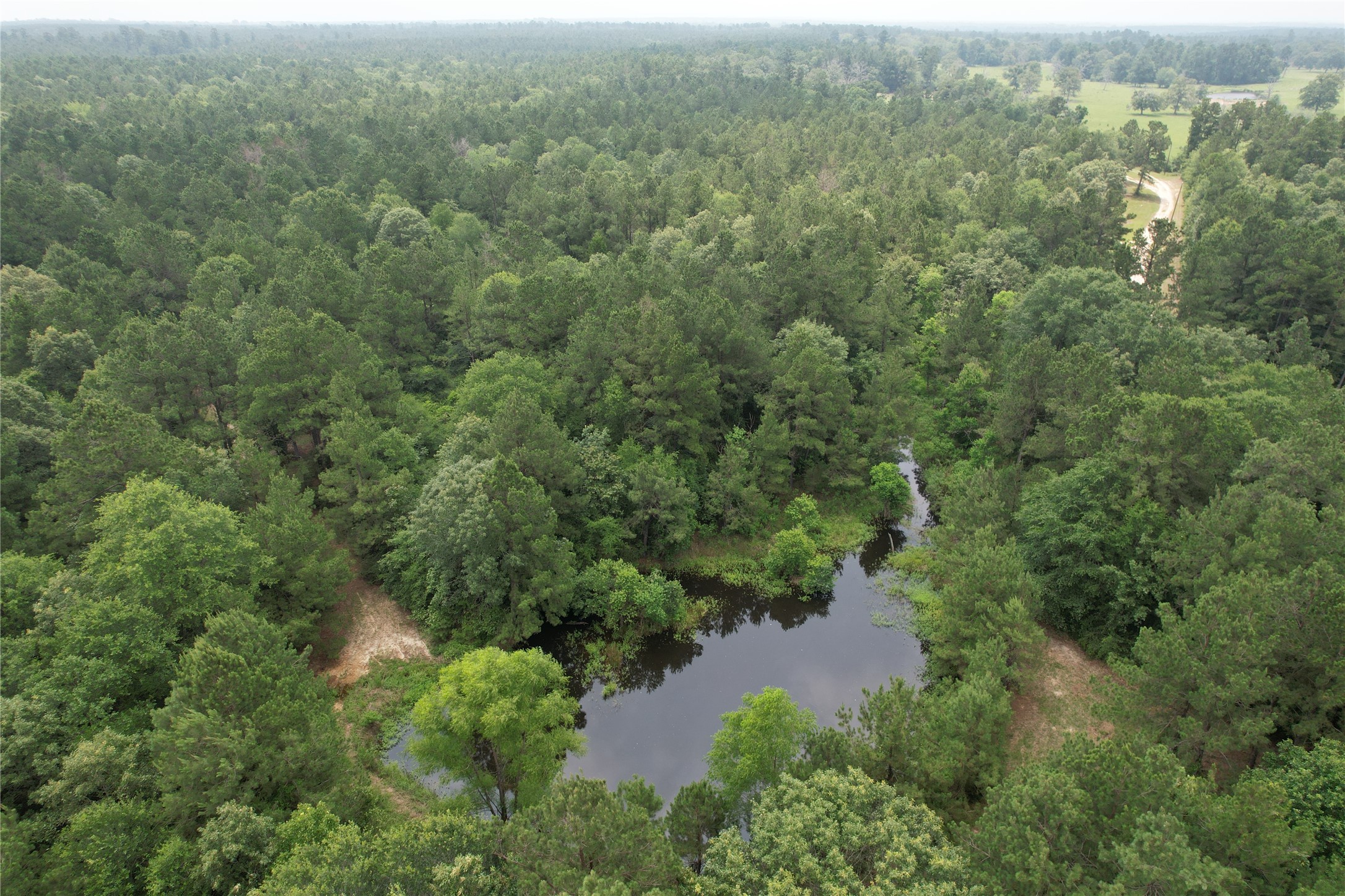 1620 County Road 3430 Lovelady TX 75851