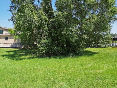 5 Wild Iris Court Huntsville TX 77340