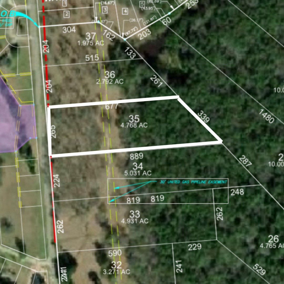 Lot 35 Lake Livingston Lane Trinity TX 75862