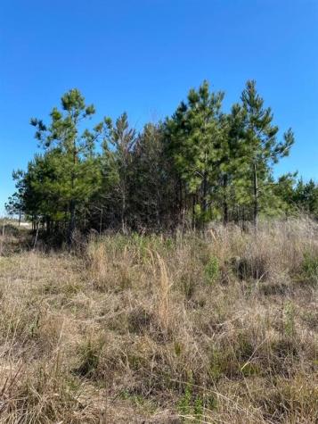 5059 County Road 3540 Cleveland TX 77327