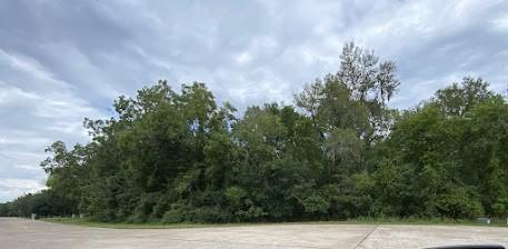 7931 Star Lake Court Missouri City TX 77459