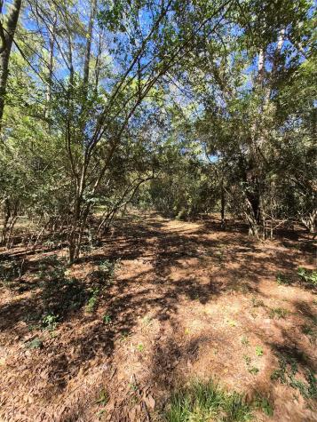4610 Sloangate Drive Spring TX 77373