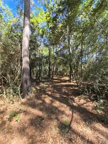 4610 Sloangate Drive Spring TX 77373