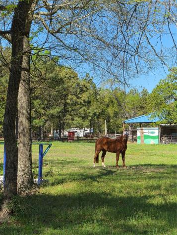 4610 Sloangate Drive Spring TX 77373