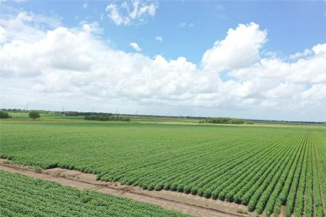 000 Fm 361-fairchilds-long Point Road Richmond TX 77469