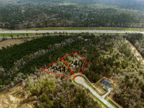 240 Hollow Hill Road New Waverly TX 77358