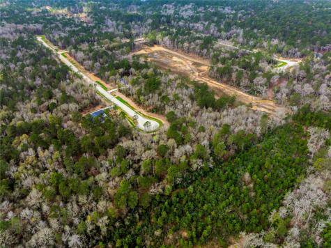 240 Hollow Hill Road New Waverly TX 77358