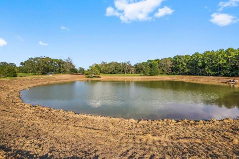 6033 Alans Memorial Lane New Waverly TX 77358