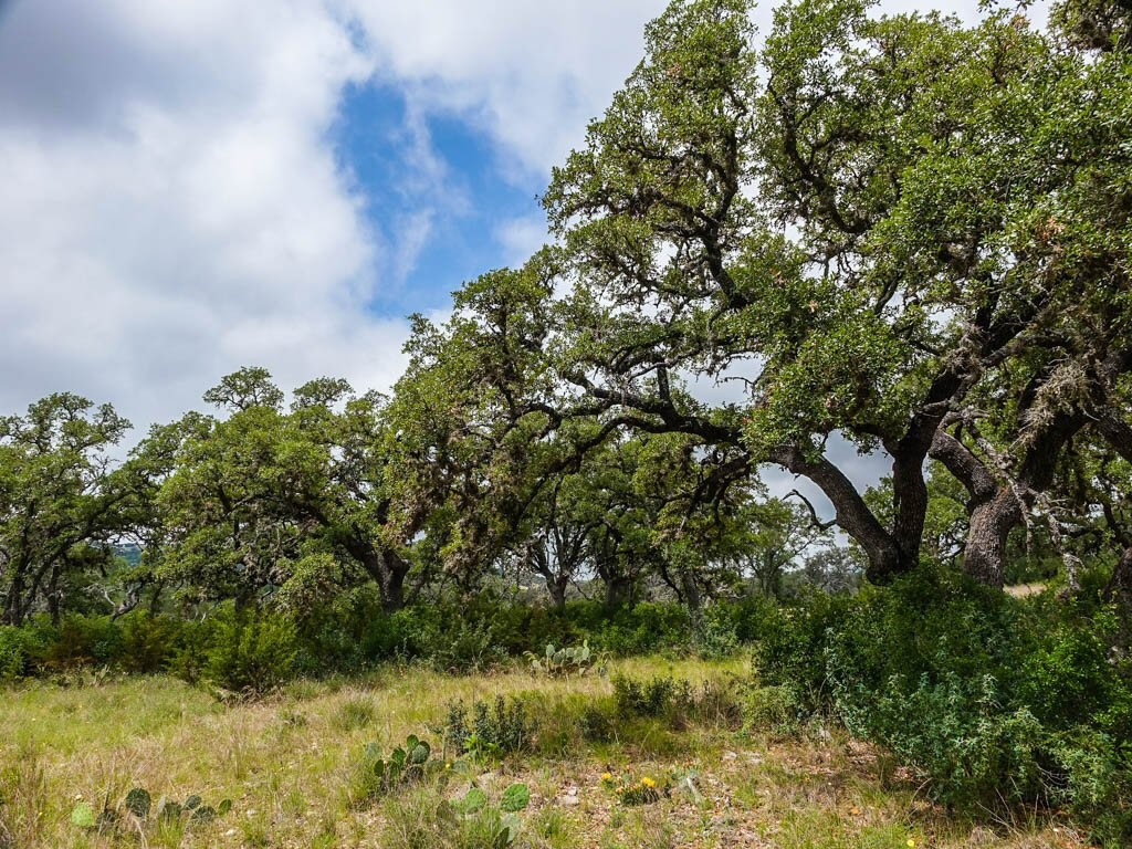 Lot 16-a Bandera Boulevard Bandera TX 78003
