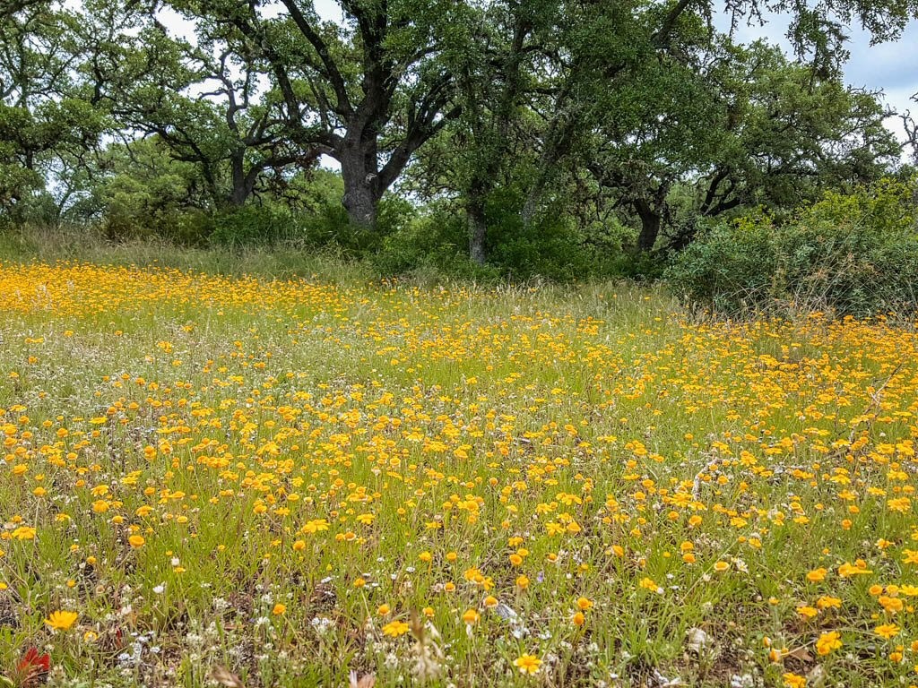 Lot 16-a Bandera Boulevard Bandera TX 78003