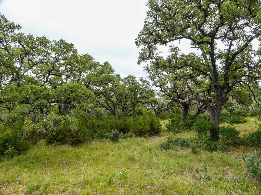 Lot 16-a Bandera Boulevard Bandera TX 78003