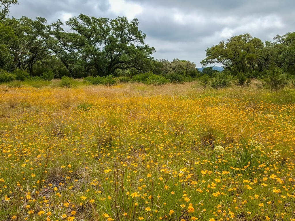 Lot 16-a Bandera Boulevard Bandera TX 78003