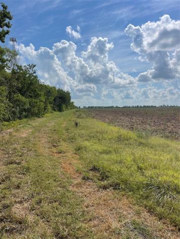 County Road 46 Cr-46 Angleton TX 77515