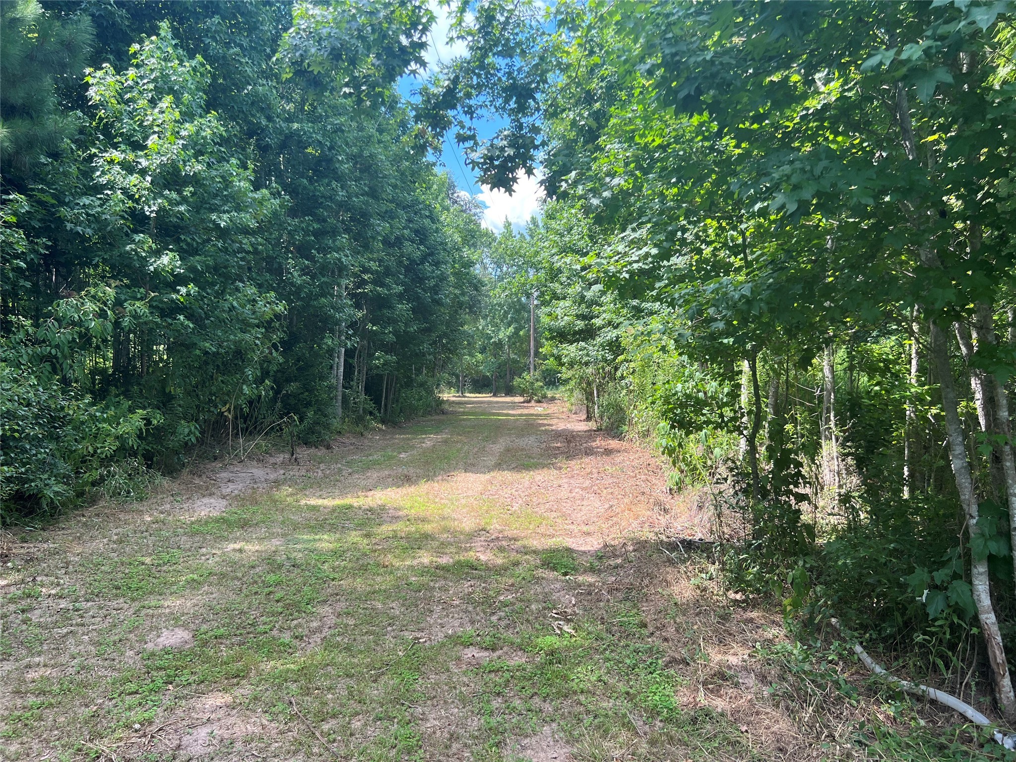 356 County Road 306 Cleveland TX 77327