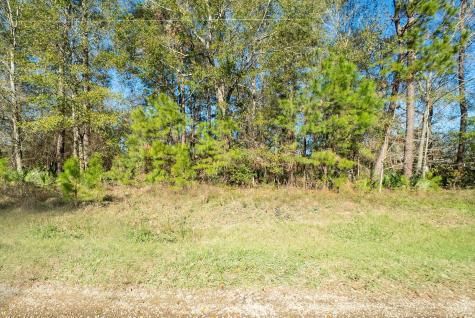 1928 County Road 3434 N Cleveland TX 77327