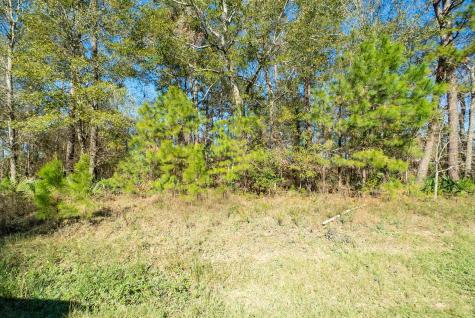 1928 County Road 3434 N Cleveland TX 77327