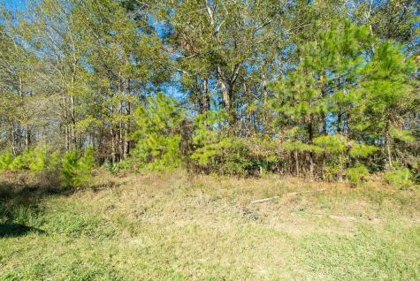 1928 County Road 3434 N Cleveland TX 77327