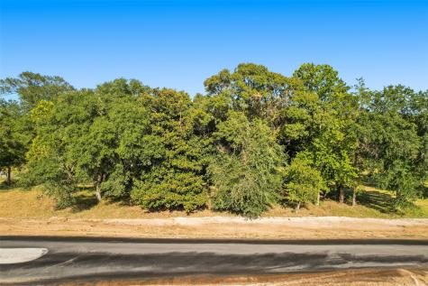 18404 Woodstream Crossing Road Montgomery TX 77316
