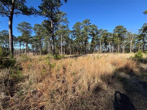 020 Private Road 6028 Brookeland TX 75931