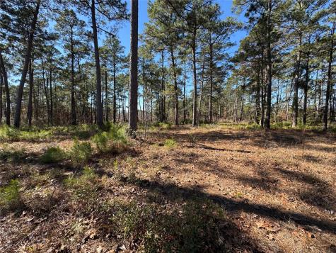 020 Private Road 6028 Brookeland TX 75931