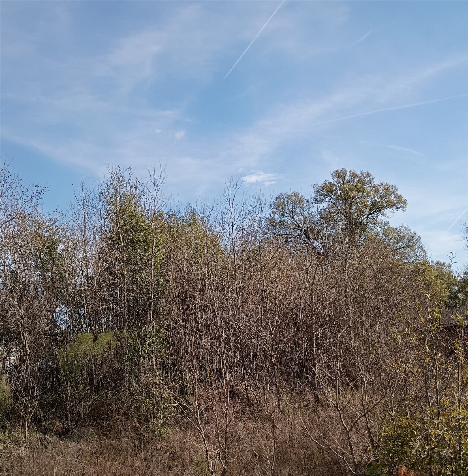425 County Road 5041 Cleveland TX 77327