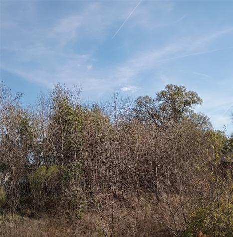425 County Road 5041 Cleveland TX 77327