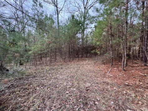 2226 Wells Landing Road Onalaska TX 77360