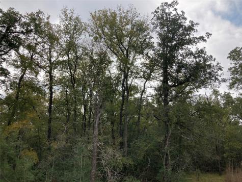 Tbd Pin Tail Cove Caldwell TX 77836