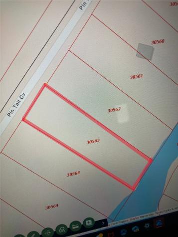 Tbd Pin Tail Cove Caldwell TX 77836