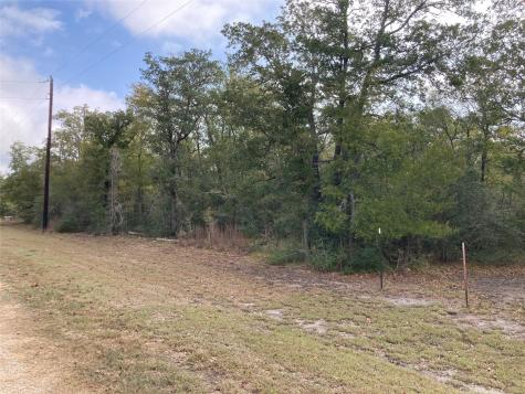 Tbd Pin Tail Cove Caldwell TX 77836