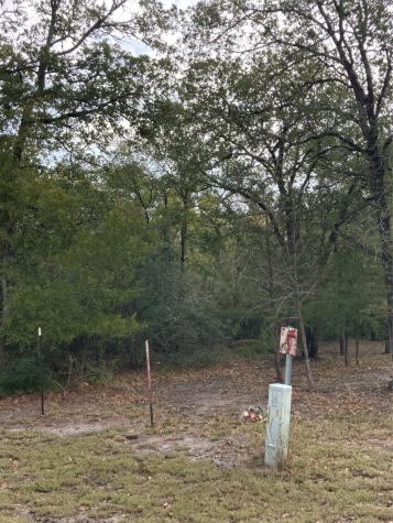 Tbd Pin Tail Cove Caldwell TX 77836