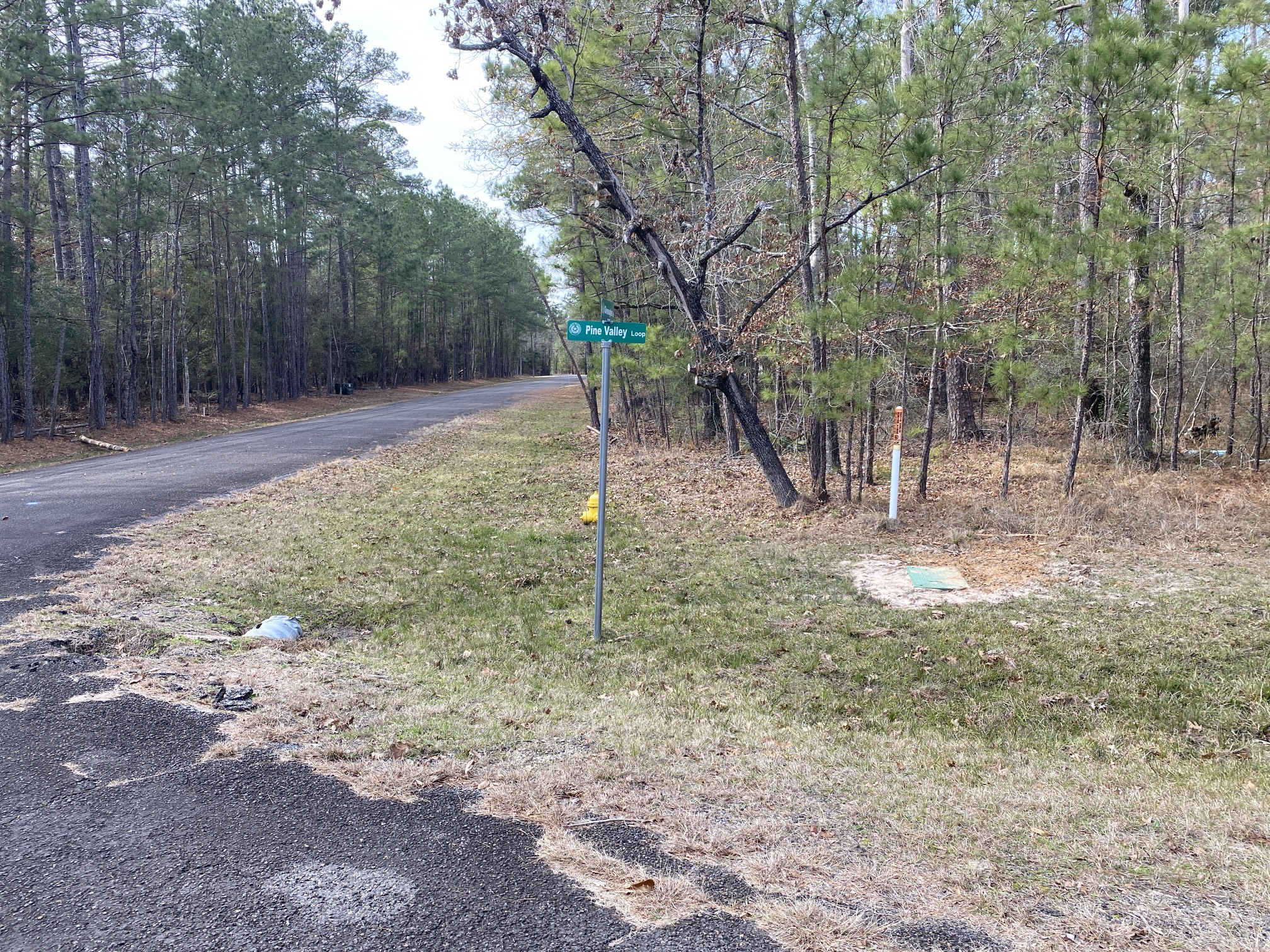 24418 Gleneagles Huntsville TX 77320