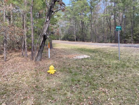 24418 Gleneagles Huntsville TX 77320